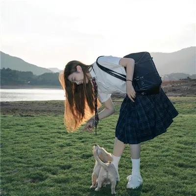 动漫综艺